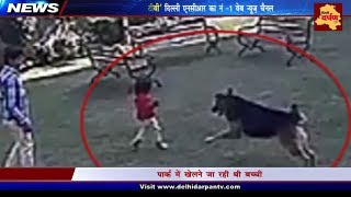 Watch Delhi Alipur Dog Attack || A Group of 10 Dogs Attack a School Girl Video