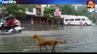 Watch Delhi PWD News : Monsoon arrives with waterlogging but PWD and MCD busy in blame game Video