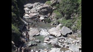 Watch 11 Killed as Amarnath Yatra Bus Falls Into Gorge on Jammu-Srinagar Highway Video