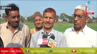 Watch Unable to harvest crops along Indo-Pak border, 'scared' farmers in Jammu pray for peace Video