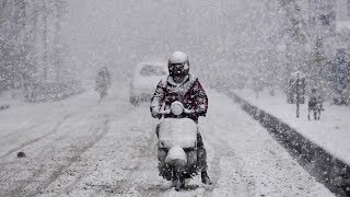 Watch Steady snowfall blankets Kashmir Video