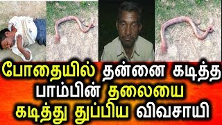 Watch à®¤à®©à¯à®©à¯ˆ à®•à®Ÿà®¿à®¤à¯à®¤ à®ªà®¾à®®à¯à®ªà®¿à®©à¯ à®¤à®²à¯ˆà®¯à¯ˆ à®•à®Ÿà®¿à®¤à¯à®¤à¯ à®¤à¯à®ªà¯à®ªà®¿à®¯ à®µà®¿à®µà®šà®¾à®¯à®¿|Tamil News Today|Viral video Video
