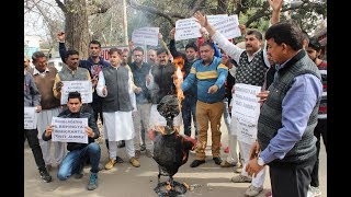 Watch JKNPP holds anti-govt protests over Rohingya issue Video