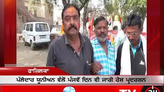 Watch Will punjab govt hear to them ? #palledaar_union Video