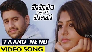 Watch Taanu Nenu Video Song  | Sahasam Swasaga Sagipo Songs | NagaChaitanya,  Manjima Mohan Video