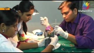 Watch Animal Lovers Saved 760 Birds In Surat Video