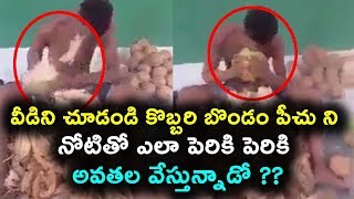 Watch à°µà±€à°¡à°¿à°¨à°¿ à°šà±‚à°¡à°‚à°¡à°¿ à°•à±Šà°¬à±à°¬à°°à°¿ à°¬à±Šà°‚à°¡à°‚ à°ªà±€à°šà± à°¨à°¿ à°¨à±‹à°Ÿà°¿à°¤à±‹ à°Žà°²à°¾ à°ªà±†à°°à°¿à°•à°¿ à°ªà±†à°°à°¿à°•à°¿ à°…à°µà°¤à°² à°µà±‡à°¸à±à°¤à±à°¨à±à°¨à°¾à°¡à±‹ Youtube viral videos Video