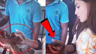 Watch Jacqueline Fernandez HOLDS A LIVE SNAKE In Hands - Viral Video Video