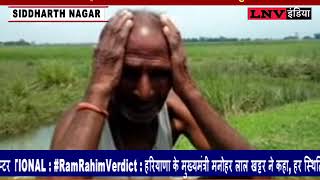 Watch UTTAR PRADESH - Flood, farmers' crops are ruined Video