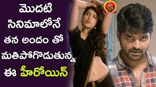 Watch Chitra Shukla Tempting Sree Vishnu || Latest Telugu Movie Scenes || 2017 Telugu Movies Video