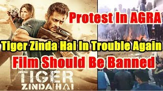 Watch After Rajasthan And UP, Tiger Zinda Hai Shows Video