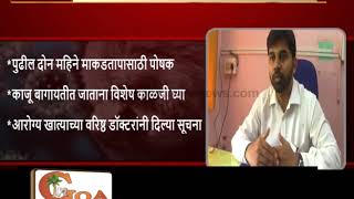 Watch Alert Against Monkey Fever, 39 People Infected Till Now in Goa Video