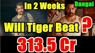 Watch Will Tiger Zinda Hai Cross 300 Crores In 2 Weeks And Video