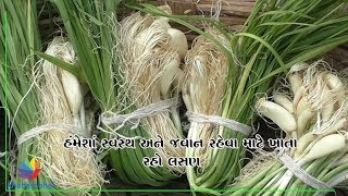 Watch How can garlic help to improve stamina Video