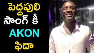 Watch Chal Mohan Ranga Movie - Pedda Puli song Akon byte - Bhavani HD Movies Video