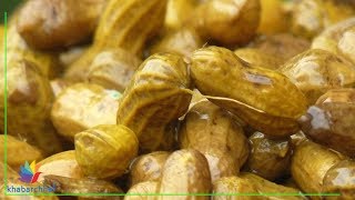 Watch Health benefits of Peanut Video