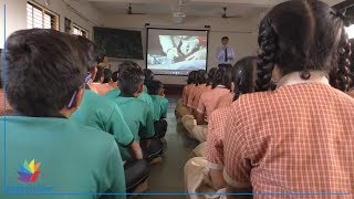 Watch Prevent Birds Injuries due to kite festival Video