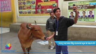 Watch Students in school of Junagadh got homework in unique style Video