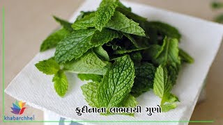 Watch Health benefits of Mint Video