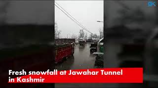 Watch Fresh snowfall at Jawahar Tunnel in Kashmir Video