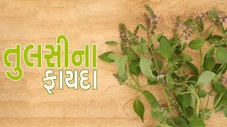 Watch Holy Basil (Tulsi) leaves are very useful as medicine for Heart Patients Video