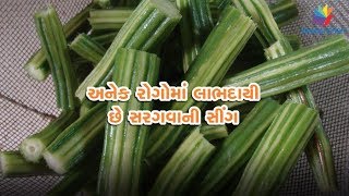 Watch Health benefits of eating Drumsticks Video