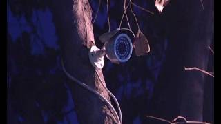 Watch ASHOK VIHAR THEFT Video