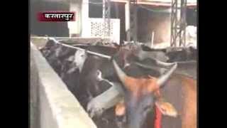 Watch 18 Gaushalla Kartarpur 29 Sep 2013 Video