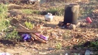 Watch During cleaning mission of Tapi illegal alcohol manufacturing unit found in Surat Video