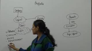 Watch Prospectus & Private Placement for CS Professional Advanced Company Law by CA Jaishree Soni Video