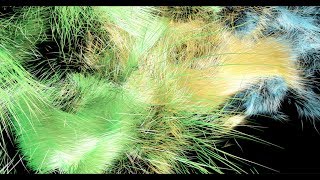 Watch Simulate Hair Material on Emitter - Cinema 4D Tutorial Video