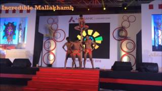 Watch India's Got Talent & Georgia Got Talent Finalist 2016 Incredible Mallakhamb performance Video