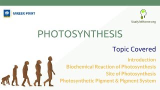 Watch Photosynthesis | Biology for NEET by Career Point Video
