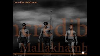 Watch India's Got Talent 7 First Finalist | Incredible Mallakhamb | at J W Marriott Pune | Video