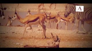 Watch Janwaro Ke Sath Hamdardi Bayan A.Tv Gulbarga Video