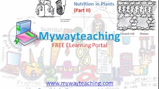 Watch Science Class 7 Chapter 1 Part 2|Nutrition in plant|Science  Chapter 1 for Class 7| Video