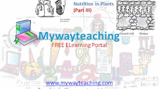 Watch Science Class 7 Chapter 1 Part 3|Nutrition in plant|Science  Chapter 1 for Class 7| Video