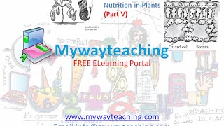 Watch Science Class 7 Chapter 1 Part 5|Nutrition in plant|Science  Chapter 1 for Class 7| Video