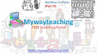 Watch Science Class 7 Chapter 1 Part 6|Nutrition in plant|Science  Chapter 1 for Class 7| Video