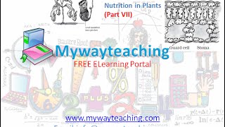 Watch Science Class 7 Chapter 1 Part 7|Nutrition in plant|Science  Chapter 1 for Class 7| Video