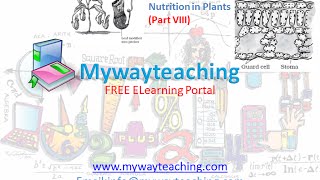 Watch Science Class 7 Chapter 1 Part 8|Nutrition in plant|Science  Chapter 1 for Class 7| Video
