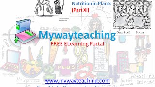 Watch Science Class 7 Chapter 1 Part 11|Nutrition in plant|Science  Chapter 1 for Class 7| Video