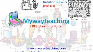 Watch Science Class 7 Chapter 1 Part 13|Nutrition in plant| Video