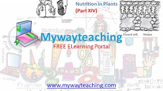 Watch Science Class 7 Chapter 1 Part 14|Nutrition in plant| Video