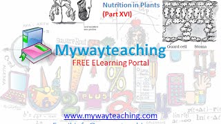 Watch Science Class 7 Chapter 1 Part 16|Nutrition in plant| Video