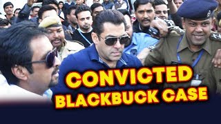 Watch Salman Khan CONVICTED In Blackbuck Case By Jodhpur Court Video