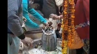 Watch à¤®à¤¹à¤¾à¤¶à¤¿à¤µà¤°à¤¾à¤¤à¥à¤°à¤¿  : à¤­à¤•à¥à¤¤à¥‹à¤‚ à¤¨à¥‡ à¤•à¤¿à¤¯à¤¾ à¤­à¤—à¤µà¤¾à¤¨ à¤¶à¤¿à¤µ à¤•à¤¾ à¤œà¤²à¤¾à¤­à¤¿à¤·à¥‡à¤• Video