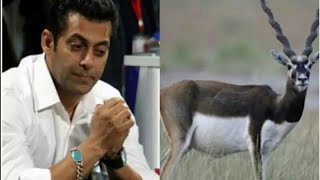 Watch Salman Khan Accused In Black Buck Case Video