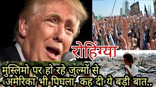 Watch The US also melts against Rohingya Muslims' s oppression, saying this big thing ... (Hindi) Video