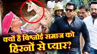 Watch Why Bishnoi Samaj Love Blackbuck? | Full Story | Salman Khan Blackbuck Case Video